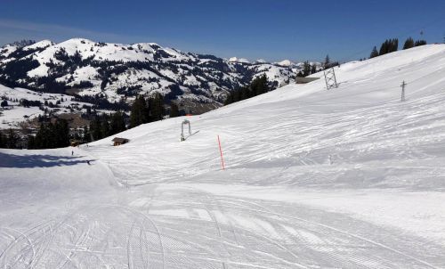 20190320-zweisimmen-3175.jpg