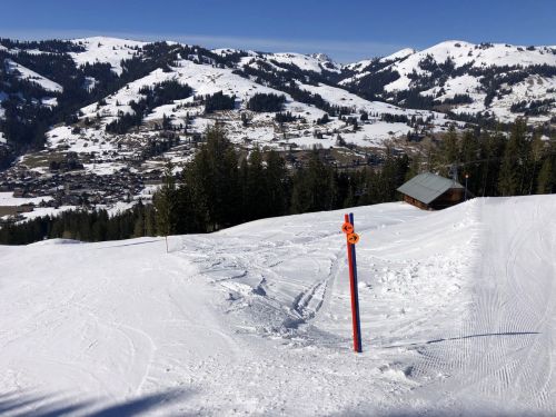 20190320-zweisimmen-3181.jpg