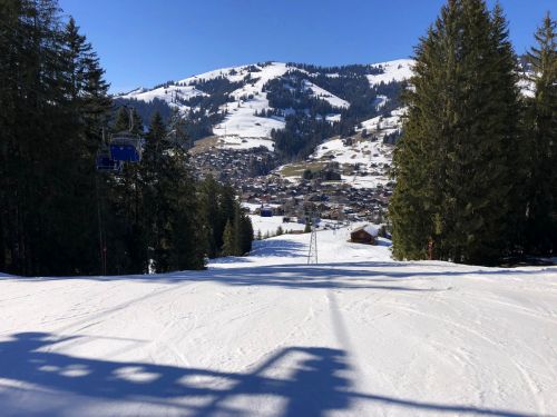 20190320-zweisimmen-3182.jpg