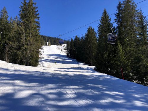20190320-zweisimmen-3183.jpg
