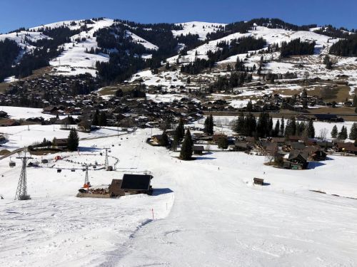 20190320-zweisimmen-3184.jpg