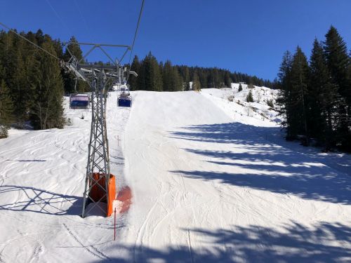 20190320-zweisimmen-3188.jpg