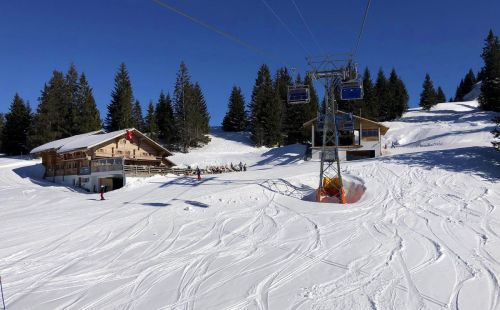 20190320-zweisimmen-3189.jpg