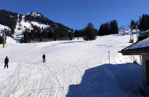 20190320-zweisimmen-3191.jpg