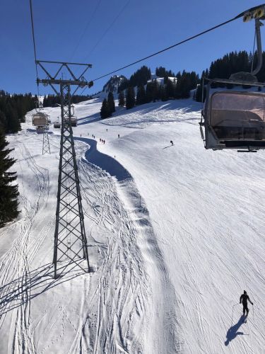 20190320-zweisimmen-3194.jpg