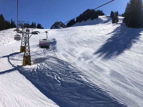 20190320-zweisimmen-3195.jpg