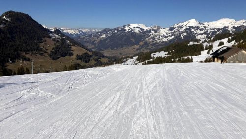 20190320-zweisimmen-3197.jpg