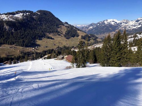 20190320-zweisimmen-3198.jpg