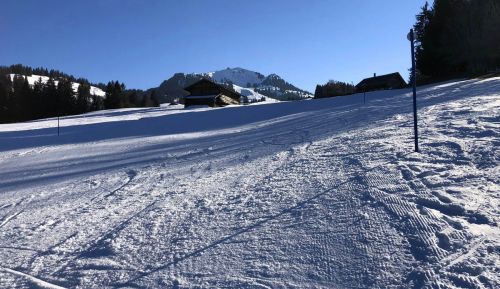 20190320-zweisimmen-3200.jpg