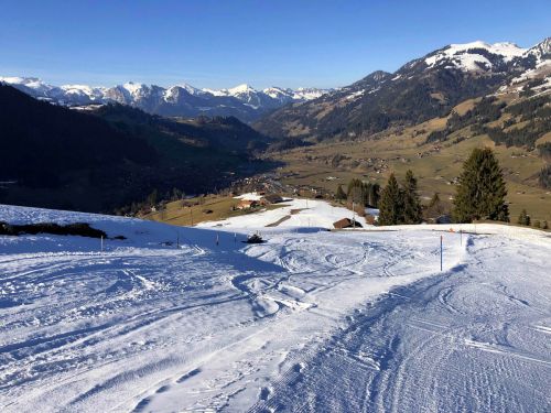 20190320-zweisimmen-3201.jpg