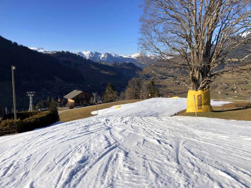 20190320-zweisimmen-3203.jpg