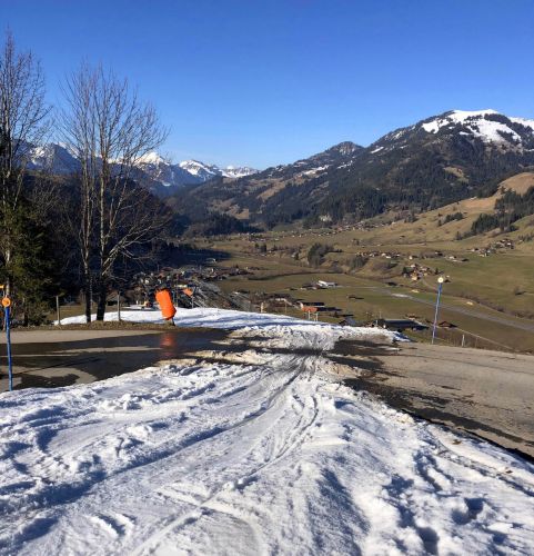 20190320-zweisimmen-3204.jpg