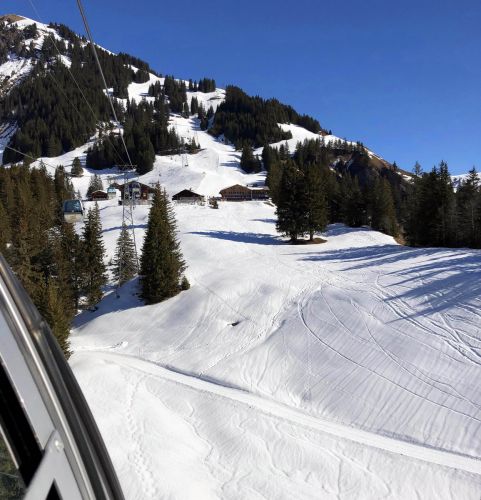 20190322-first-3262.jpg