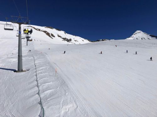 20190322-first-3264.jpg