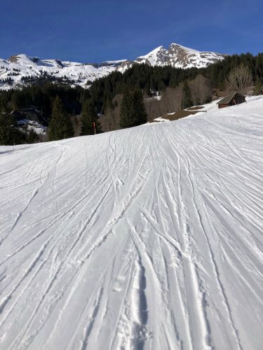 20190322-first-3292.jpg