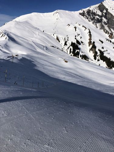 20190401-adelboden-lenk3678.jpg