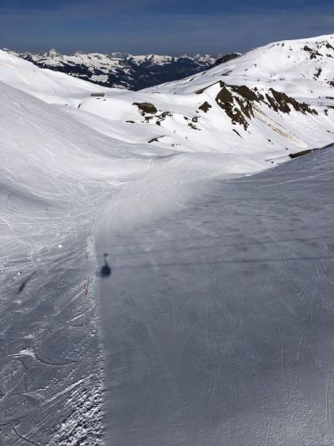 20190401-adelboden-lenk3688.jpg