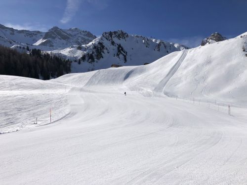 20190401-adelboden-lenk3691.jpg