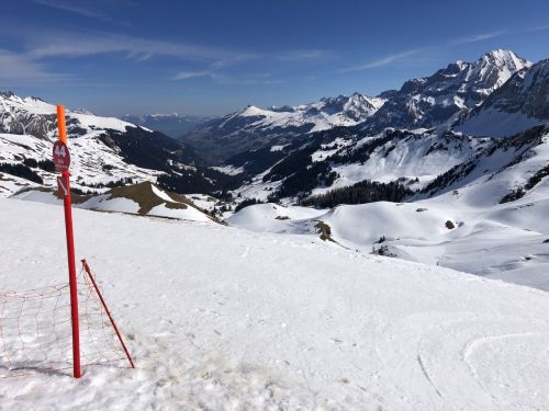 20190401-adelboden-lenk3694.jpg