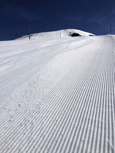 20190401-adelboden-lenk3695.jpg