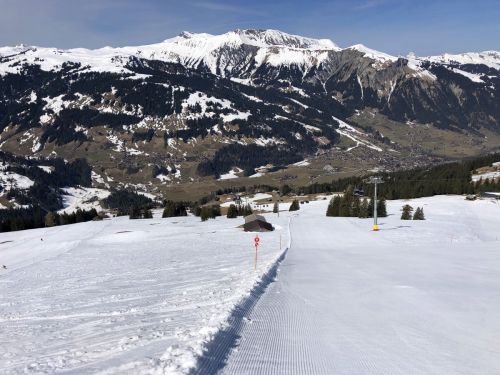 20190401-adelboden-lenk3698.jpg