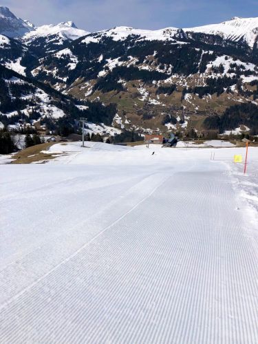 20190401-adelboden-lenk3702.jpg