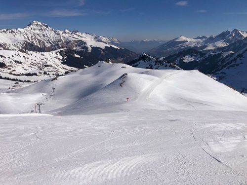 20190401-adelboden-lenk3704.jpg