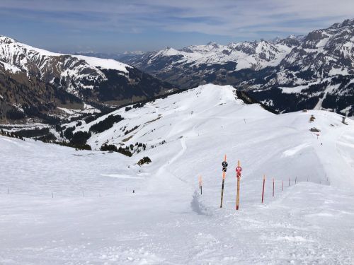 20190401-adelboden-lenk3715.jpg