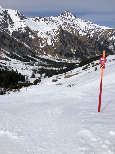 20190401-adelboden-lenk3717.jpg