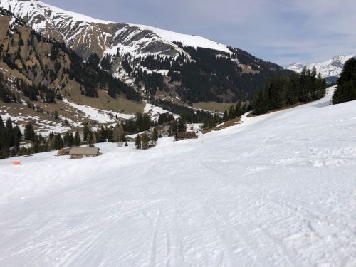 20190401-adelboden-lenk3718.jpg