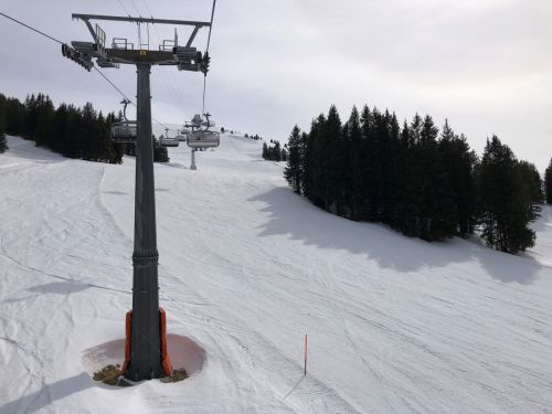 20190401-adelboden-lenk3720.jpg