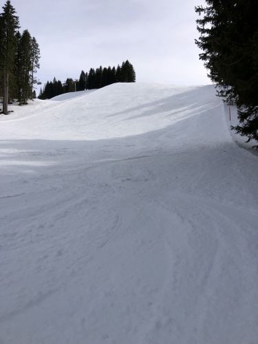 20190401-adelboden-lenk3721.jpg
