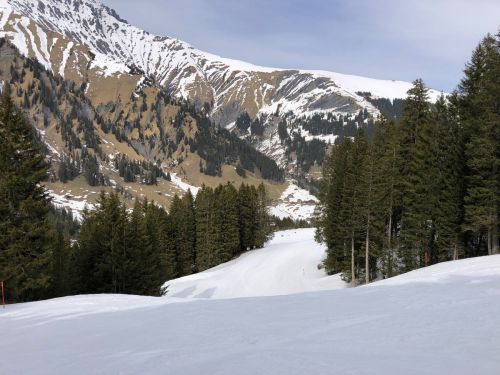 20190401-adelboden-lenk3722.jpg