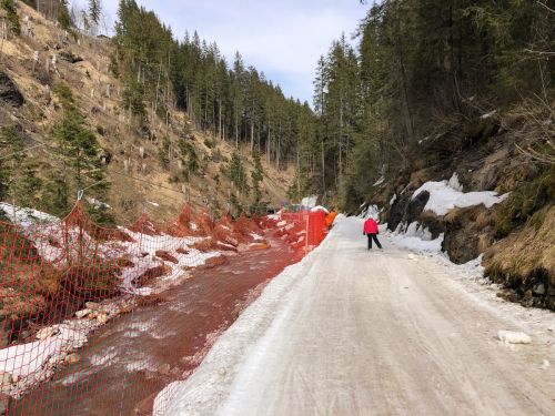 20190401-adelboden-lenk3727.jpg