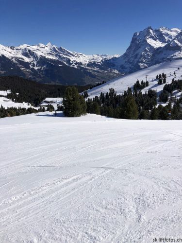 20190415-kleinescheidegg-3998.jpg