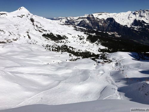 20190415-kleinescheidegg-4019.jpg