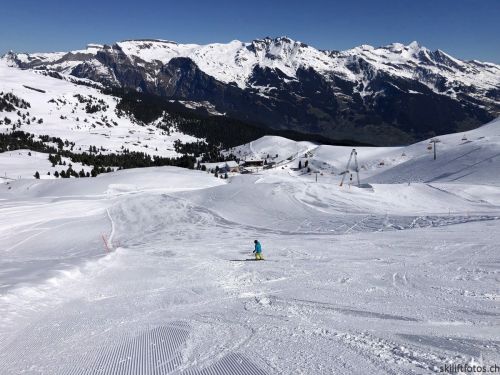 20190415-kleinescheidegg-4021.jpg