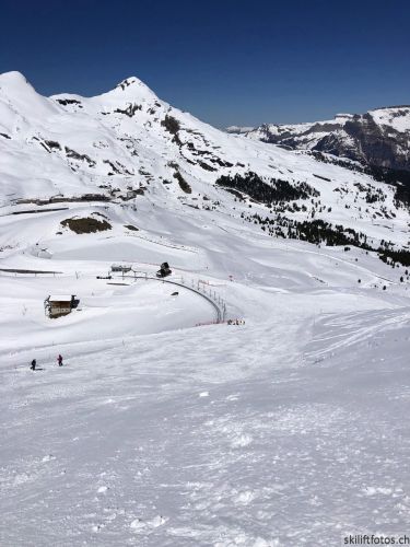 20190415-kleinescheidegg-4031.jpg