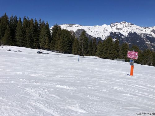 20190415-kleinescheidegg-4036.jpg