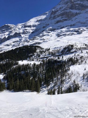 20190415-kleinescheidegg-4037.jpg
