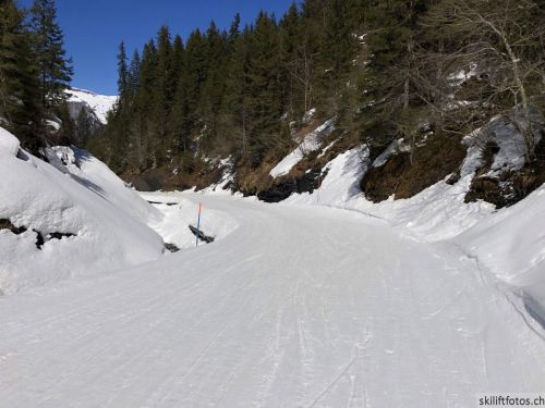20190415-kleinescheidegg-4038.jpg