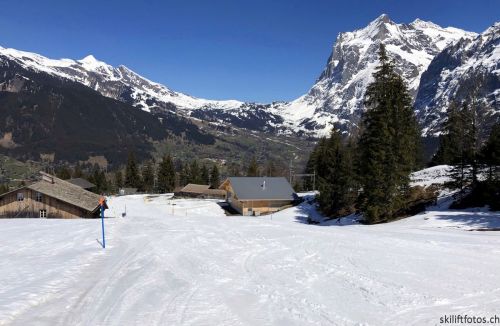 20190415-kleinescheidegg-4044.jpg