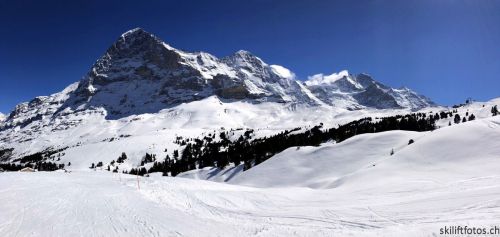 20190415-kleinescheidegg-4045.jpg