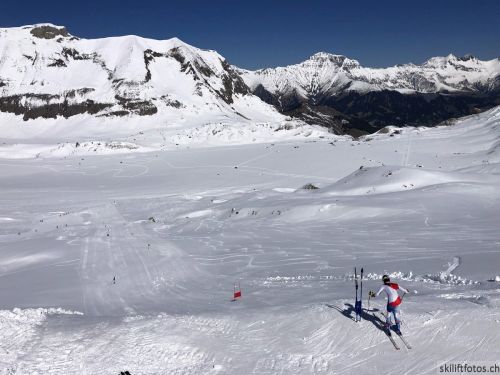 20190501-engstligenalp-5068.jpg