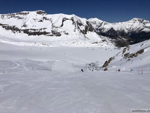 20190501-engstligenalp-5072.jpg
