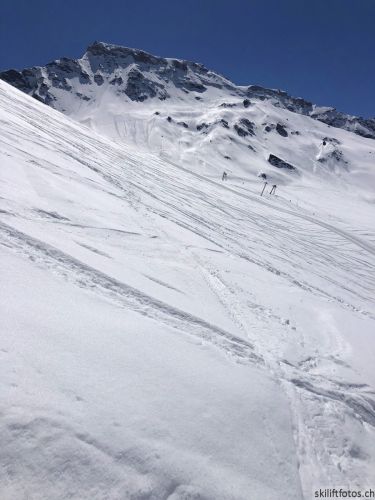 20190501-engstligenalp-5081.jpg