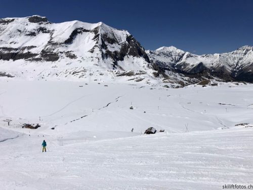 20190501-engstligenalp-5082.jpg