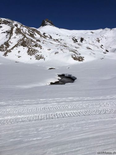 20190501-engstligenalp-5092.jpg