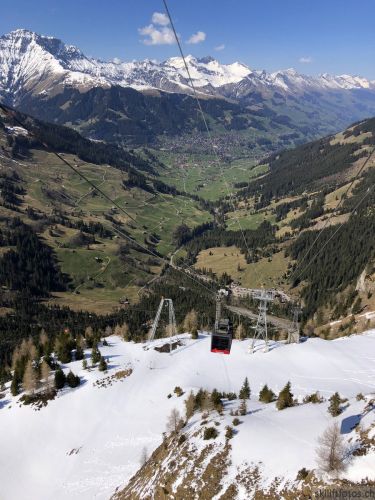 20190501-engstligenalp-5096.jpg