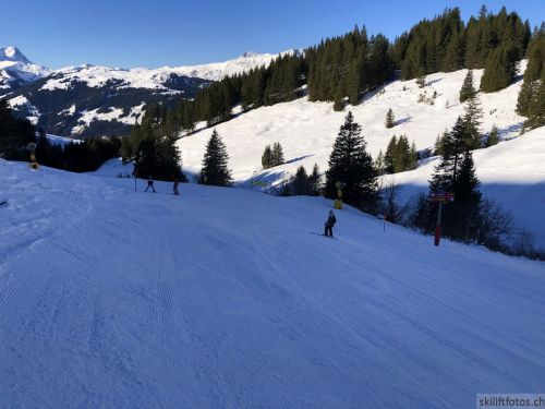20191206-adelboden-lenk-6866.jpg